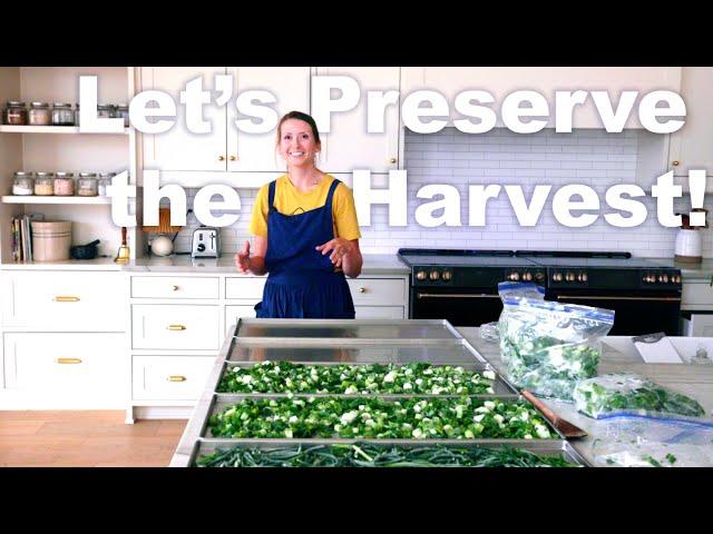 Preserving Food | Homemade spices, Fermenting and Freezing, and Seasonal Cooking.