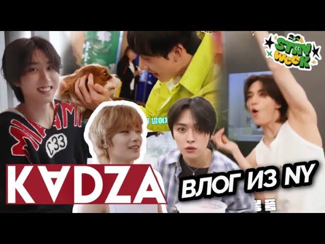 [Русская озвучка Kadza] Влог Stray Kids из Нью-Йорка | STAY week