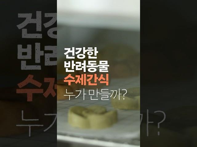 요즘 어른들의 세상 - 웰컴, 신자씨! 편