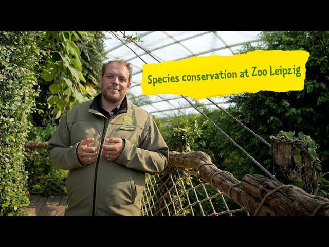 Commitment to species and nature conservation at Zoo Leipzig