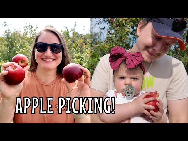 FIRST TIME APPLE PICKING WITH OUR BABY! | Things to do in Chicago Area | Apple Orchard | Fall Fun