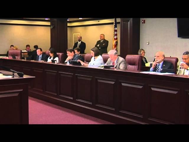 SENIORS TESTIFY AGAINST INTERNET CAFE BAN