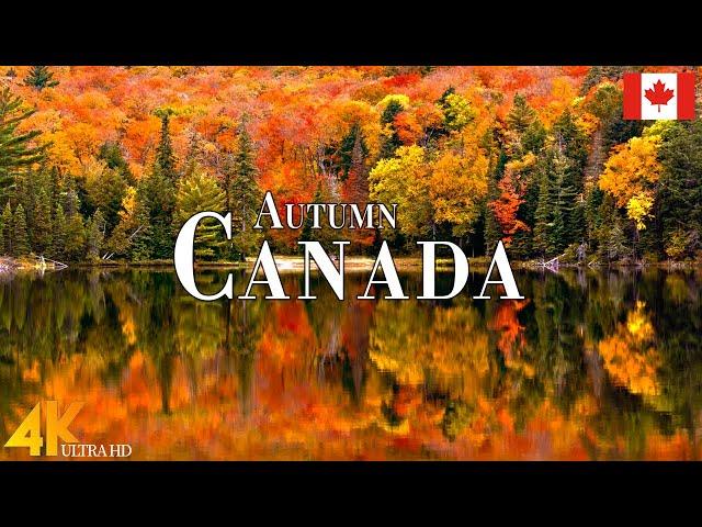 Autumn Canada 4K Ultra HD • Enchanting Autumn Canada, Scenic Relaxation Film with Calming Music.