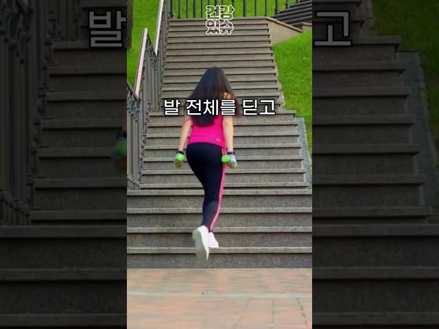 저절로 되는 전신 운동, 계단 오르기는 혁명