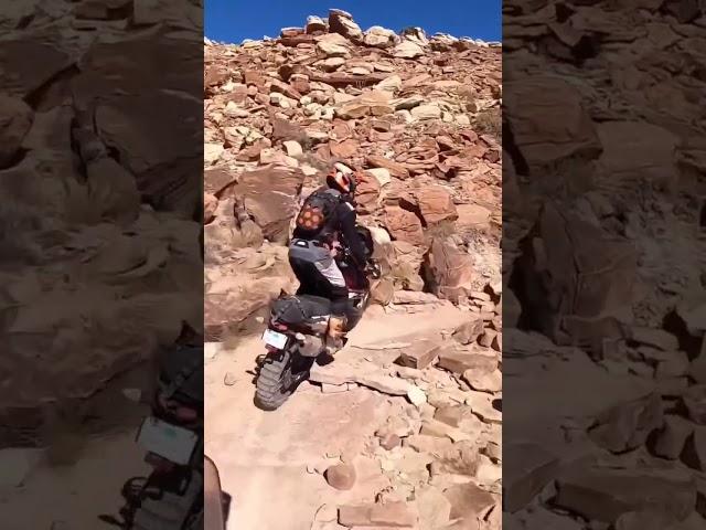 2023, KTM adventure 390 offroading#p2kmotovlog#shorts#youtubeshorts#viral