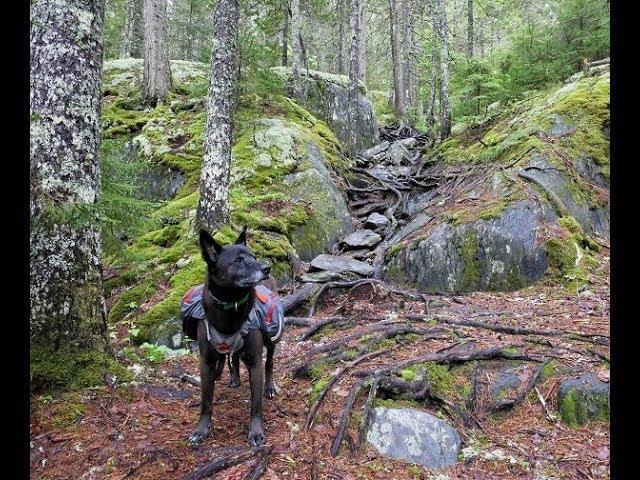 Prepping for a hike in Maine's 100 Mile Wilderness