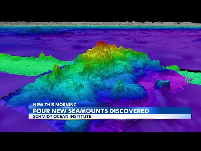 Four new seamounts have been discovered