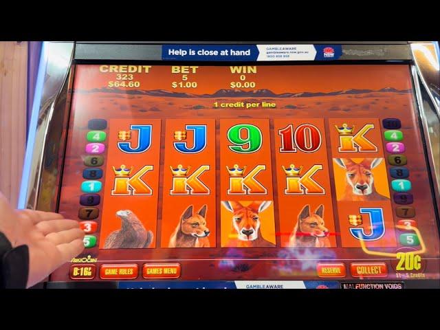 Pokie adventures #10 drunk as a skunk again and ended up having a win 