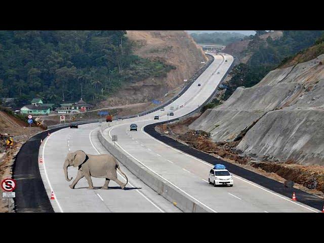 Inilah Rekor Proyek Jalan Tol Terpanjang Dan Termahal Indonesia