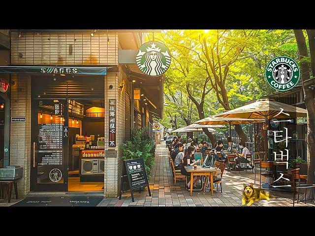 【쾌적한 카페 BGM】sweet coffee music starbucks ️ 7월 최고의 스타버 음악 컬렉션  온화한 재즈 피아노 사운드의 곡