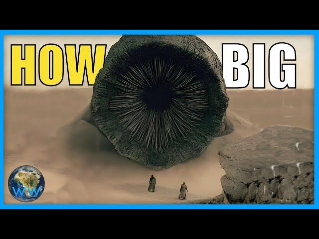 How Big Do Sand Worms Get?