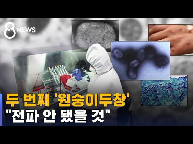 '원숭이두창' 국내 두 번째 환자 발생…"전파 안 됐을 것" / SBS
