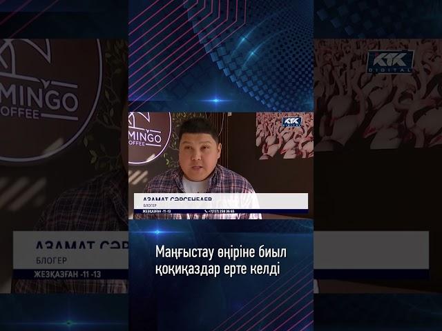 Маңғыстау өңіріне биыл қоқиқаздар ерте келді