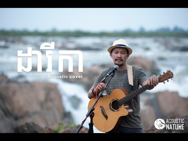 ដារីកា / Acoustic Nature cover