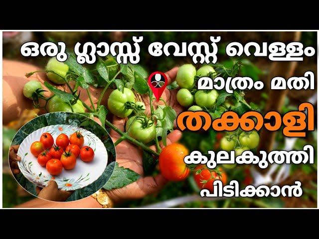 വേസ്റ്റ് വെള്ളം ഇനി തലവേദന ആകില്ല | Organic liquid fertilizer making | Prs krishi cultivation  tips