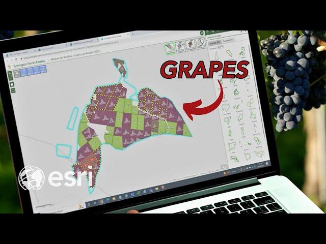 Revolutionizing The Wine Game: How GIS Impacts Sustainable Agriculture