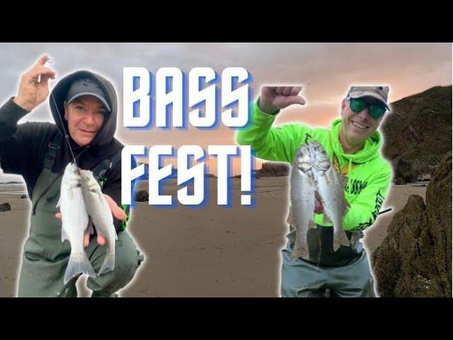 Sea Fishing UK | Bass Fishing Special | Bigbury Bay | Bassmans Vlog#32