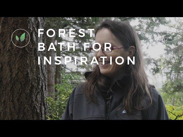 How to Take a Forest Bath for Inspiration