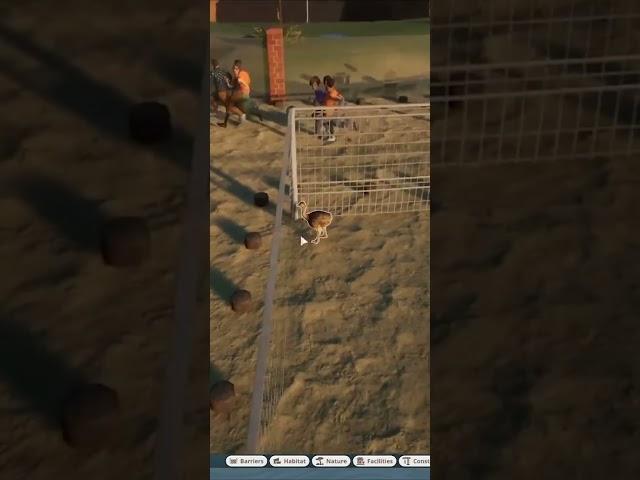 Escaped Animal Causes Chaos (Funny) - Planet Zoo