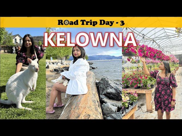 Things To Do In Kelowna, BC | Canada 2024 | VLOG