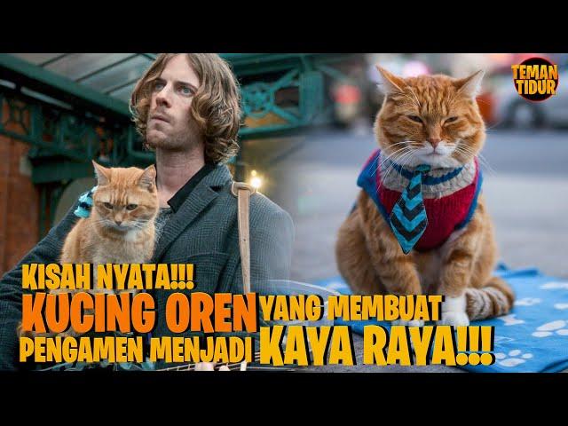 KUCING OREN YANG MEMBUAT PENGAMEN INI KAYA RAYA!!! - Alur Cerita "A stree Cat Named Bob"