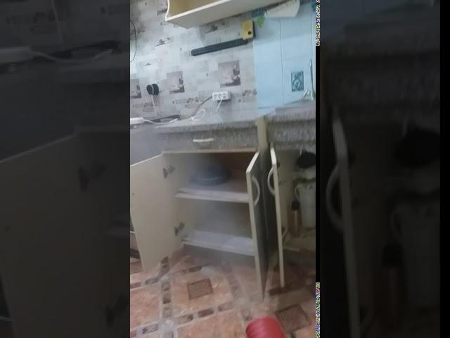 Уничтожение тараканов Красноярск