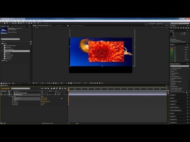 Hướng dẫn cơ bản phần mềm Adobe After Effects.mp4
