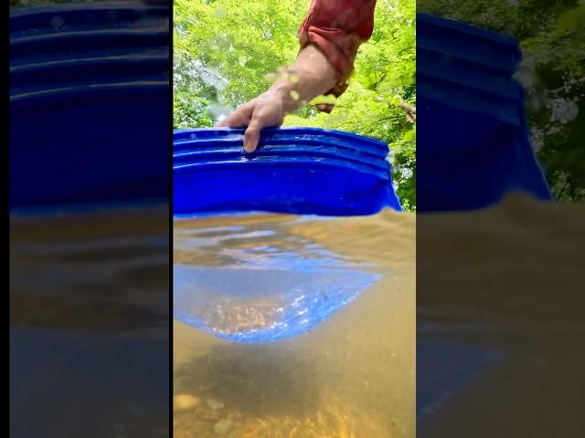 Gold Panning Flood Gold with the Gold Claw Pan