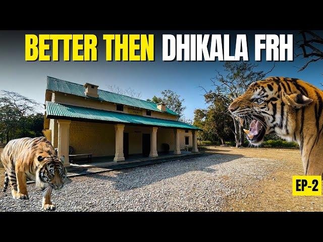 VIP Sarapduli Forest Rest House जहां रोज Tiger & Leopard आते हैं - Old Frh Dhikala Zone Jim Corbett