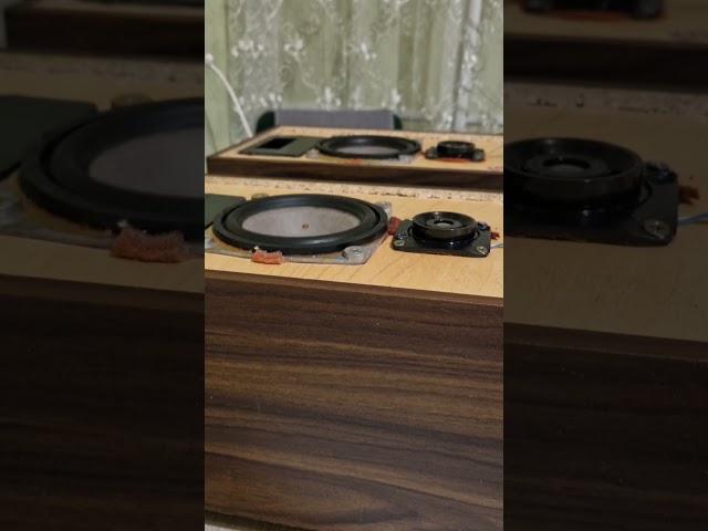 Радиотехника 25 ГДН #90s #bass #dj #scratch