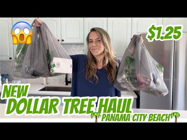 DOLLAR TREE HAUL | NEW | PANAMA CITY BEACH | NEW BRAND NAME ITEMS