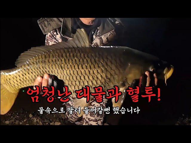 엄청난 대물과 혈투! 월척붕어 마릿수 #carpfishing