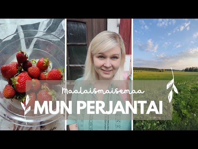 Perjantain arkivlogi /Hidas aamu / Aamupalaa omalta maalta /Työjuttuja / Paarmat kiusaa