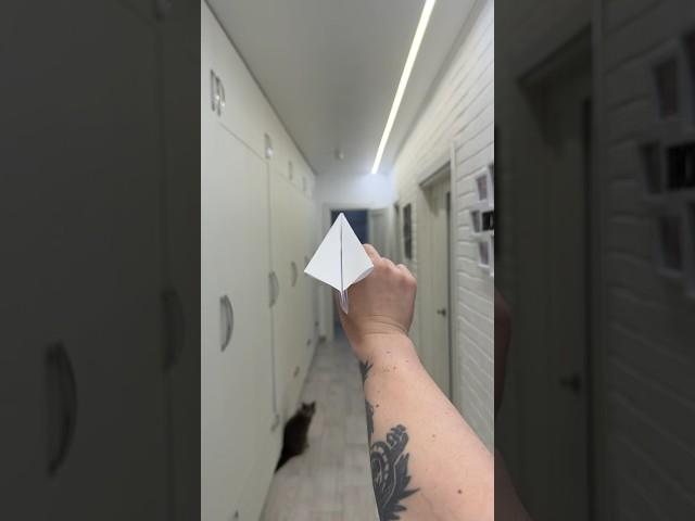POV: You Accidentally Break a World Record in Your Bedroom ️ 285ft! #diy #papercrafts #airplane