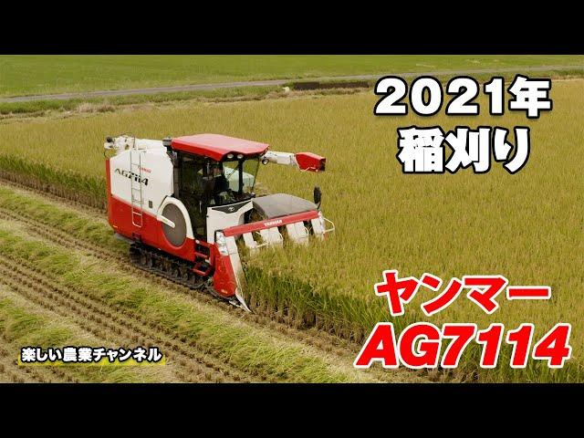 【2021年稲刈り】ヤンマーAG7114で稲刈り作業