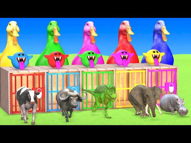 Long Slide Game With Elephant Gorilla Buffalo Hippopotamus Tiger - 3d Animal Game - Funny 3d Animals