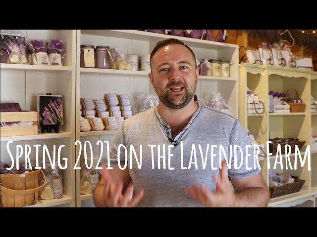 Spring 2021 Introduction to Our Lavender Farm