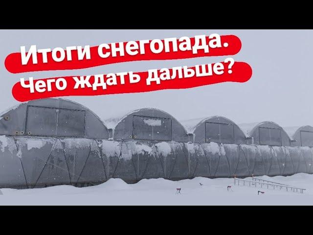 Зима на Кубани. Весело только детям. Подвожу итоги очередного снегопада.