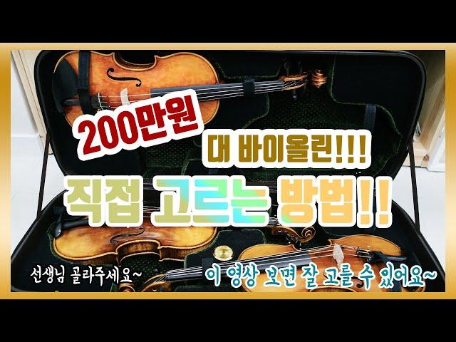 200만원대 바이올린 소리는 진짜 좋은가? 취미 바이올린 고르는 방법