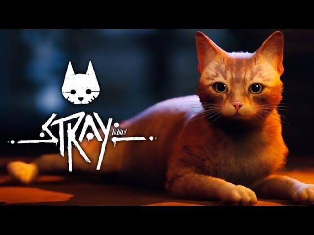 Stray 30m Play (best game of 22)