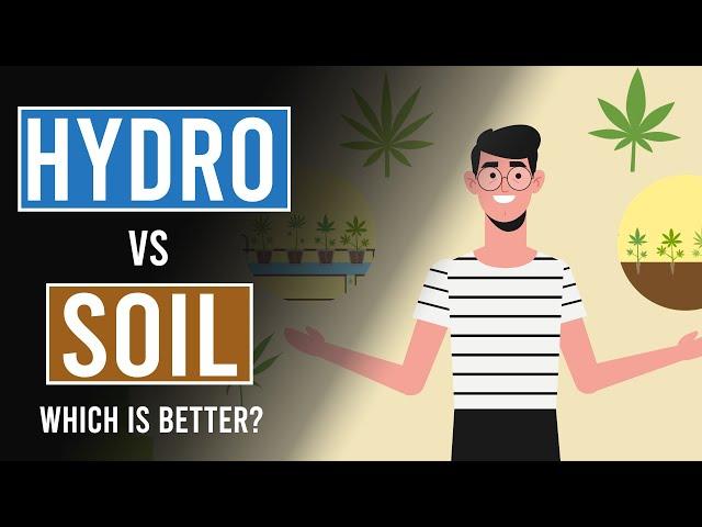 Hydroponics Vs Soil: Which is best?