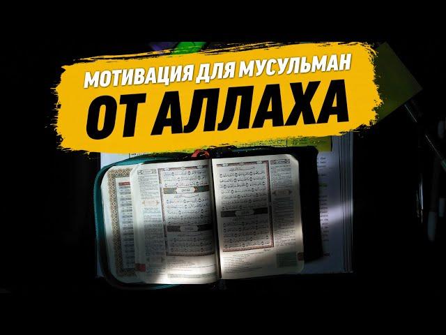 Мотивация для мусульман от Аллаха