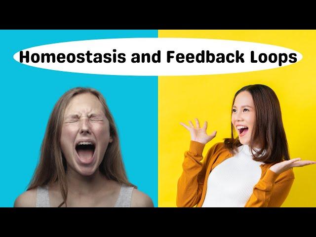 Homeostasis and Negative/Positive Feedback