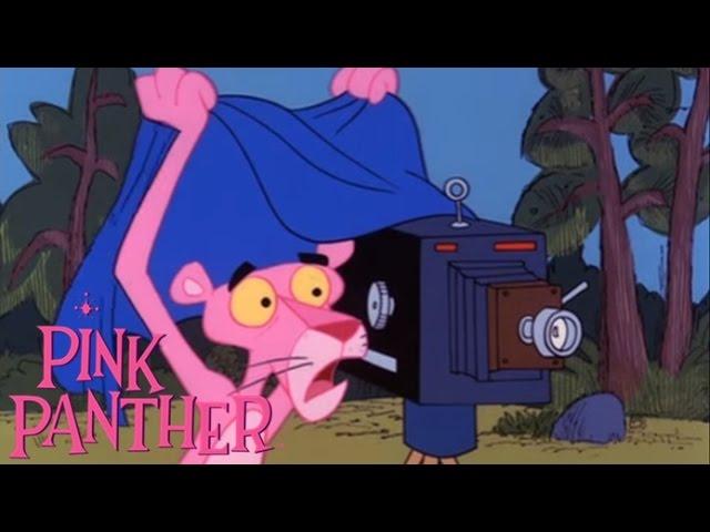 The Pink Panther in "Pink Pictures"