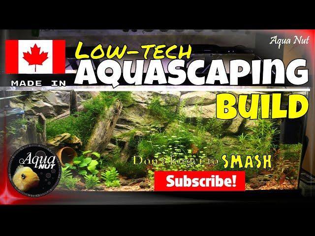 Step by Step Aquascaping Tutorial Guide PT 1| Planted Aquascape Build How to