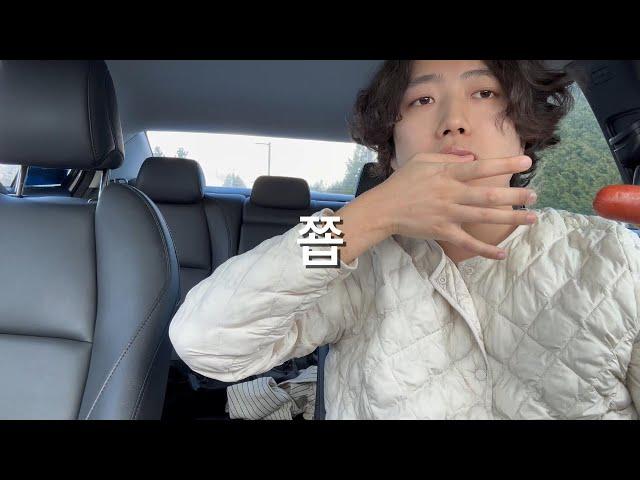 미국유학생Costco에서 장보기vlog