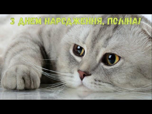 З Днем народження, Поліна! (Котики)