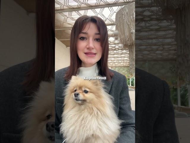 Кризис - это всегда возможности. Вопрос только используете Вы из или нет.