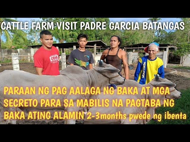 cattle farm visit! Actual na Paraan ng Pag aalaga ng mga Baka at Pagpapakain!!