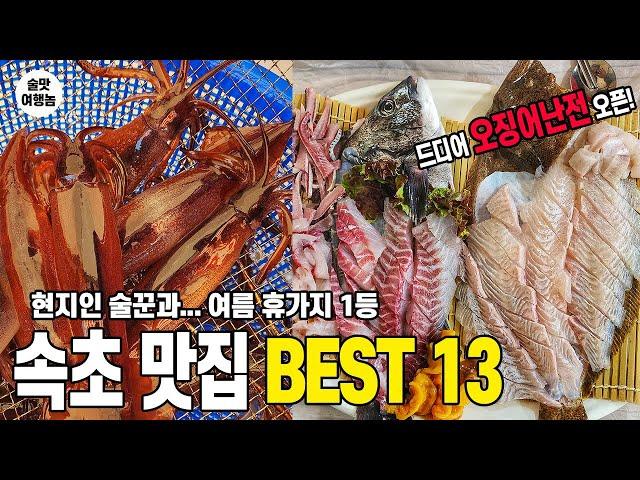 여름 휴가지 1위! 술쟁이 현지인과 속초 맛집 BEST 13 ㅣ오징어난전 드뎌 오픈! 노포 분위기! 가성비! 맛 보장!